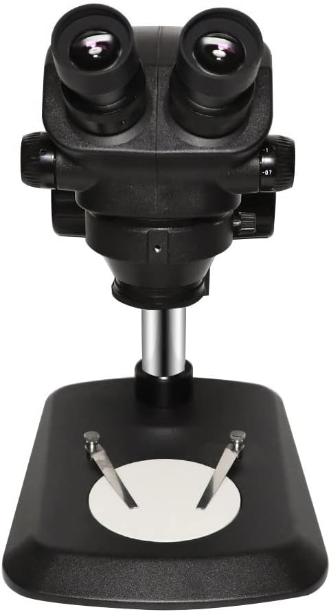 荒木淳一、【ベネチアのサラ】、大判・希少な画集画、新品高級額 荒木